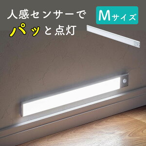 lZT[Cg LED [d L   퓔 40cm 3iK F iK ő270[ }Olbg USB[d Vo[  EZ8-LED073SV