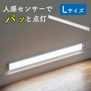 lZT[Cg LED [d L   퓔 60cm 3iK F iK ő350[ }Olbg USB[d Vo[  EZ8-LED074SV