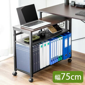 fXNS 3i TChe[u 75cm fXN[ t@CS ubNGh ؐ fXN[ _[NuE  EZ1-WG019BR