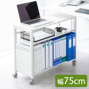 fXNS 3i TChe[u 75cm fXN[ t@CS ubNGh ؐ fXN[ zCg  EZ1-WG019W