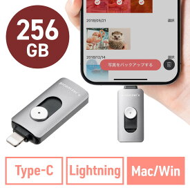 Lightning Type-C USBメモリ 256GB Piconizer4 グレー iPhone Android 対応 MFi認証 バックアップ iPad USB 10Gbps EZ6-IPLUC256GGY
