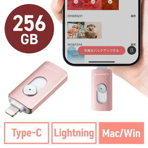 Lightning Type-C USB 256GB Piconizer4 [YS[h iPhone Android Ή MFiF obNAbv iPad USB 10Gbps EZ6-IPLUC256GP
