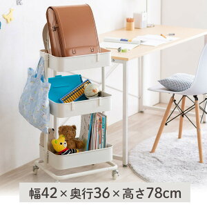 Lb`S LX^[t }`S 42cm ω׏d30kg  c[S ύX\ zCg EZ1-CART022W