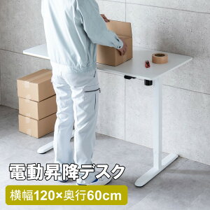 ~fXN d  120cm p\RfXN X^fBO Ƒ s60cm 73cm`118cm j^[A[Ή zCg EZ1-ERD043W