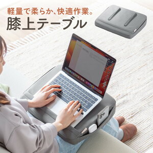 Ge[u NbVe[u m[p\R y ^ ^ubg \ Ђ 43cm y EZ2-HUS017GY