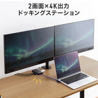 ドッキングステーション HDMI 2画面出力 PD D100W 4K/60Hz対応 USB-C接続 USB スマートPD対応 カードリー…