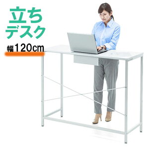 X^fBOfXN e[u ~[eBO ItBX [Ne[u 100cm 120cm  fXN ~[eBOe[u  EZ1-DESKF010