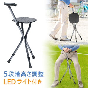 XebL`FA ֎q  ܂肽 g y St AEghA Or  Cxg U c v[g hV̓ nCLO s s ^ LED EEX-CHST01