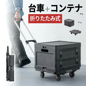  ܂肽 pReit L[J[g y e 47L ω׏d60kg RpNg ܂肽݃Rei  W[ pxiK ubN EZ1-CART029SETBK