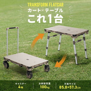 L[J[g ܂肽 AEghA e[u ω׏d100kg 2WAY @\  4 nht x[W EZ1-TRL002BG