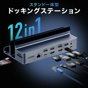 hbLOXe[V type c 12in1 X^h^ 2 HDMI2 NVF 4K/60Hz PD100W LLAN 3.5mm J[h[_[  EZ4-VGA029