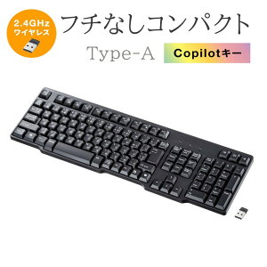 CXL[{[h USB AV[o[ eL[t u RpNg tL[{[h dr CopilotL[ ubN SKB-WL40BK TTvC