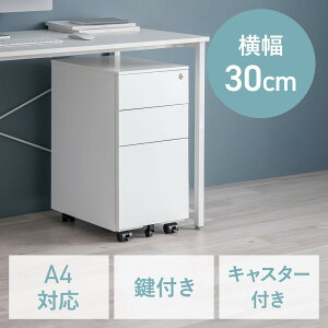 fXNS Lrlbg 3i 30cm s45cm 60cm t ꊇbN X`[ EZ1-SNW029