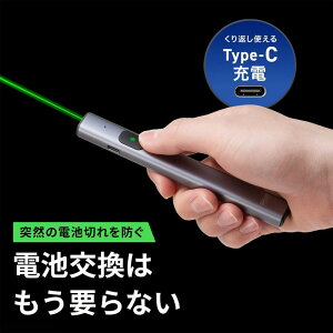 ���[�U�[�|�C���^�[ �� USB�[�d�� PSC�F�� �O���[�����[�U�[ Type-C �X�g���b�v�z�[�� �X���� �O���[ LP-GL1020 �T�����T�v���C
