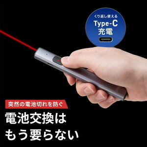 �y�ő�1,000�~�I�t�N�[�|�����s���z���[�U�[�|�C���^�[ �� USB�[�d�� PSC�F�� ���b�h���[�U�[ Type-C �X�g���b�v�z�[�� �X���� �O���[ LP-RD316 �T�����T�v���C