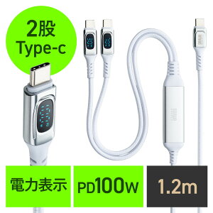 USB Type-C �P�[�u�� �}���[�d PD100W ��҃P�[�u�� 2-in-1 �d�͕\�� �i�C�������b�V�� �������z 2�䓯���[�d �[�d�̂� �f�[�^�u���b�N 1.2m EZ5-USB098