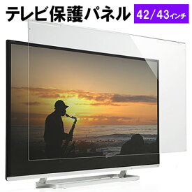 【ランク別最大P10倍~4/27 9:59まで】テレビ保護パネル 42インチ 43インチ 42型 43型 アクリル フィルター テレビ 傷 防止 光沢 グレア 子供 ペット テレビ画面 EZ2-CRT014