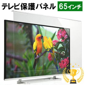 【楽天1位受賞】テレビ保護パネル 65インチ 65型 アクリル フィルター テレビ 傷 防止 光沢 グレア 子供 ペット テレビ画面 EZ2-CRT024