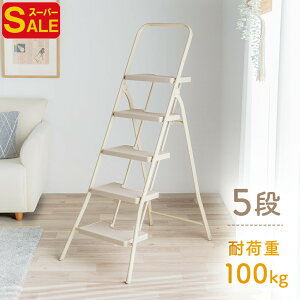 yX[p[SALEzr ݑ 5i ܂肽 X |  rLbv x[W  EEX-KYA26BG