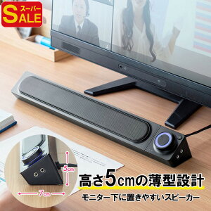 yX[p[SALEzPCXs[J[ TEho[Xs[J[ XeI~jvO 3.5mmڑ CzWbN }CNWbN L USBd EEX-SPK02