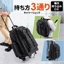 【最大600円クーポン配布中】キャリーバッグ 機内持ち込み リュック キャスター 軽量 拡張 ビジネス 旅行 アウトドア 防災 バックパック ソフトキャリー ビジネスリュック キャリーケース 2WAY 3WAY メンズ レディース ブラック おすすめ EEX-BGC02