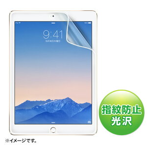 iPad Air 2�p�t���ی�w��h�~����t�B���� LCD-IPAD6FP �T�����T�v���C