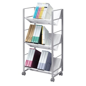 t@CS 3i[ WG-100N2 TTvC