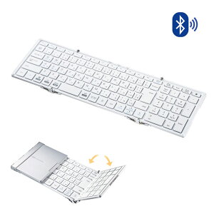 L[{[h CX Bluetooth [d ܂肽 }`yAO ^ׂ eL[ tL[{[h CX 104L[ {z zCg SKB-BT35W TTvC