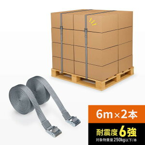 ג߃xg bVOxg h~xg 6m×2{ ebN21 QL-E103 TTvC