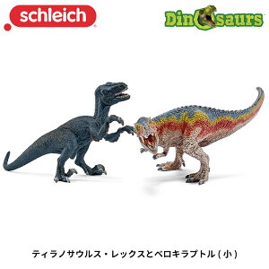 eBmTEXEbNXƃxLvg() 42216 tBMA fBmTEX VCq Schleich