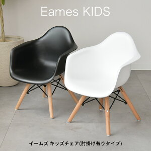 ygsvizC[YLbY`FA(It) ESK-004 C[Y`FA Eames v_Ng LbY`FA ~j ֎q q