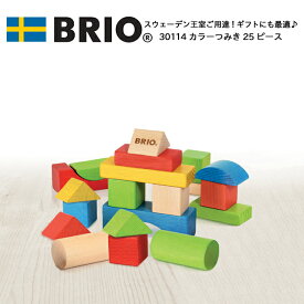 BRIO ブリオ カラーつみき 25ピース 木製積み木 1歳から 30114