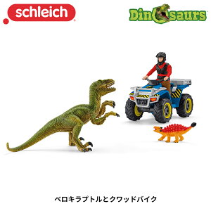 xLvgƃNbhoCN 41466 tBMA vCZbg Dinosaurs VCq Schleich