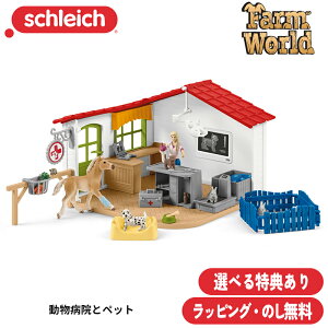 yтTza@ƃybg 42502 tBMA t@[[h VCq bsO l