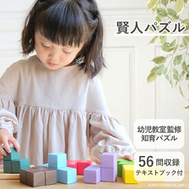 知育玩具 賢人パズル 木のおもちゃ 木製 エドインター 立体パズル 脳力パズル 教育玩具 子供家具