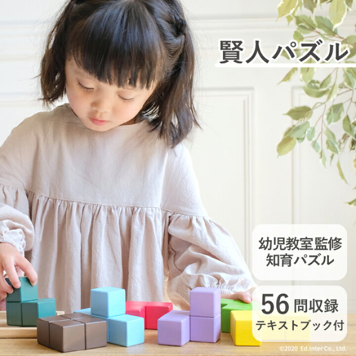 楽天市場 送料無料 賢人パズル エドインター 立体パズル 脳力パズル 知育玩具 教育玩具 子供家具 1st Kagu ファースト家具