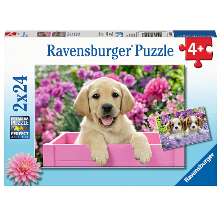 楽天市場 送料無料 かわいい子犬 24ピース 2 ジグソーパズル お子様向けパズル 知育玩具 ラベンスバーガー Ravensbuger Brio ブリオ 1st Kagu ファースト家具
