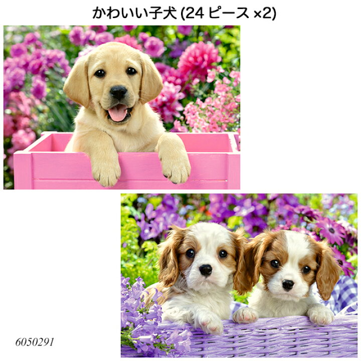楽天市場 送料無料 かわいい子犬 24ピース 2 ジグソーパズル お子様向けパズル 知育玩具 ラベンスバーガー Ravensbuger Brio ブリオ 1st Kagu ファースト家具