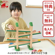森のうんどう会 GENI（ジェニ） エドインター 806449 木製スロープトイ 知育玩具 名入れ対応 特別ラッピ…