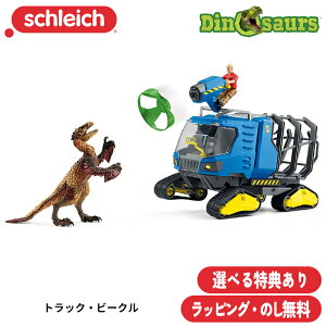 yтTz gbNEr[N 42604 tBMA fBmTEX VCq bsO l v[g