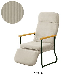 GP NCjO`FA(tbgt) ENKEL-2 rO`FA lp l| EbhA[ ̓ av[g  ֎q bNX | ֎q  GPV