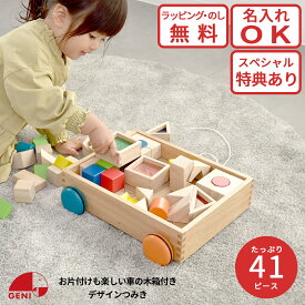 木製デザインつみき 806395 GENI（ジェニ）エドインター 名入れ対応 13種類41ピース 特別ラッピング