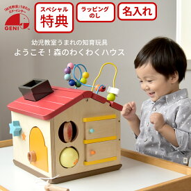 ようこそ！森のわくわくハウス GENI（ジェニ） エドインター 818947 木製知育玩具 出産祝い 1歳からの遊び箱 名入れ対応 特別ラッピング
