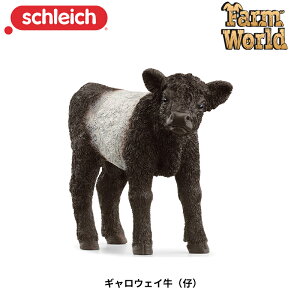 MEFC(e) 13969    tBMA t@[[h Aj} VCq Schleich
