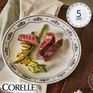 R[t`hC[ M 5Zbg CP-8767 R[ Zbg M   dqWΉ H@Ή I[uΉ ɂ H  킢 lC p[