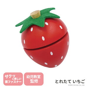 �Ƃꂽ�� ������ �G�h�C���^�[ GENI �v�`�}���V�F �ؐ� �܂܂��� �H�� �P�i 800539