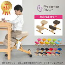 宮武製作所 プロポーションチェア HC-889CK／HC-88W 姿勢を整える学習チェア 補助クッション付きタイプあり【YK11cm】