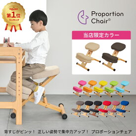 宮武製作所 プロポーションチェア HC-889CK／HC-88W 姿勢を整える学習チェア 補助クッション付きタイプあり【YK11cm】