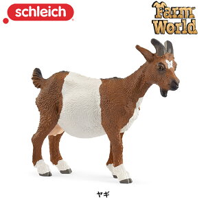 M 14887  tBMA t@[[h WI} VCq