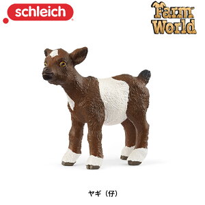 M(e) 14888  tBMA t@[[h WI} VCq